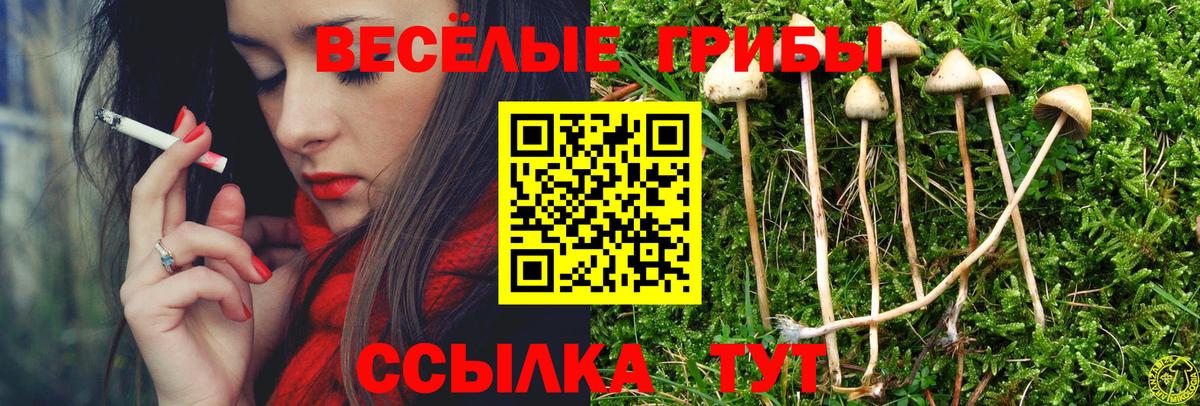 Галлюциногенные грибы мухоморы Луховицы